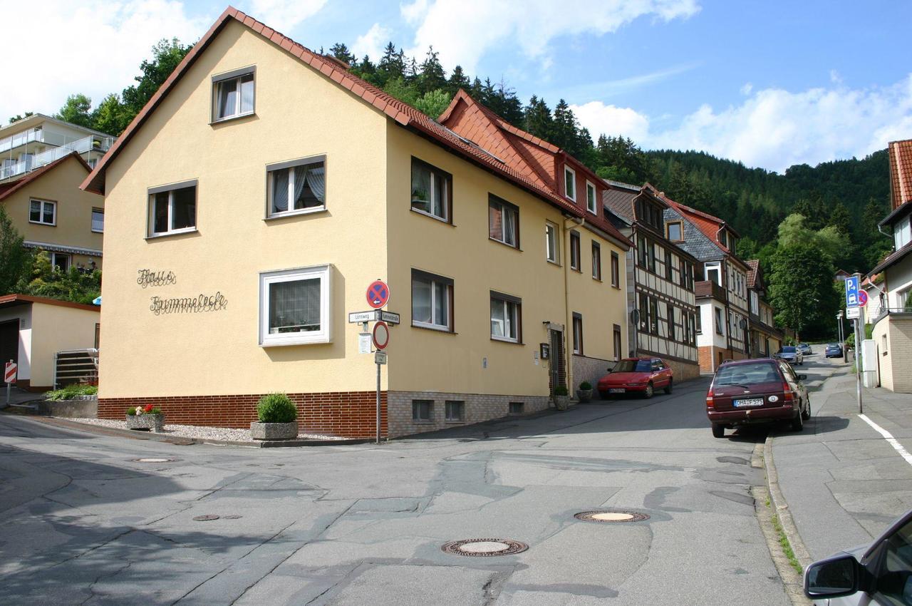 Haus Kummeleck, Wohnung 2 Bad Lauterberg im Harz Exterior foto